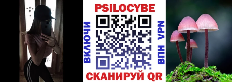 даркнет как зайти  Гатчина  Псилоцибиновые грибы прущие грибы 